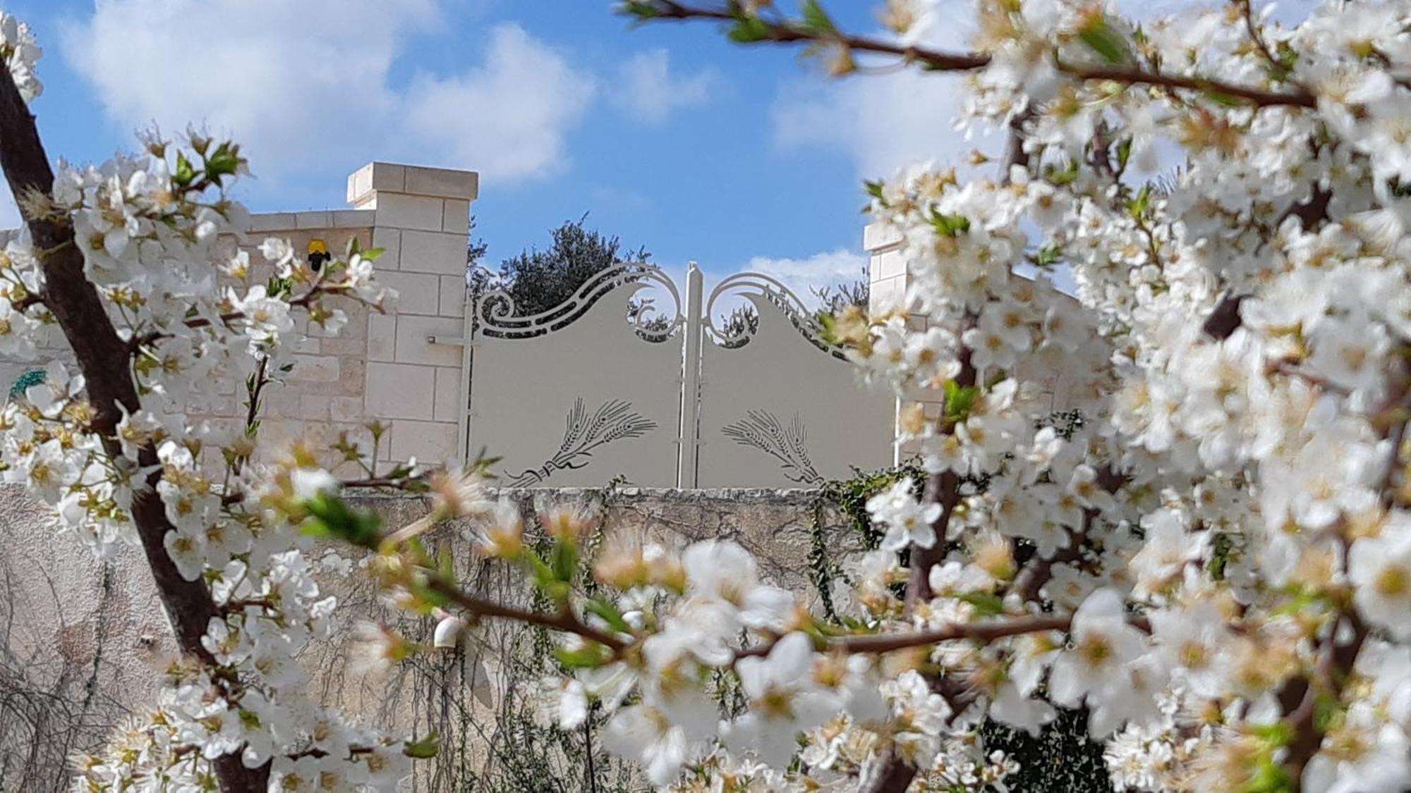 Villa Karmel Valle D'Itria Cisternino Buitenkant foto