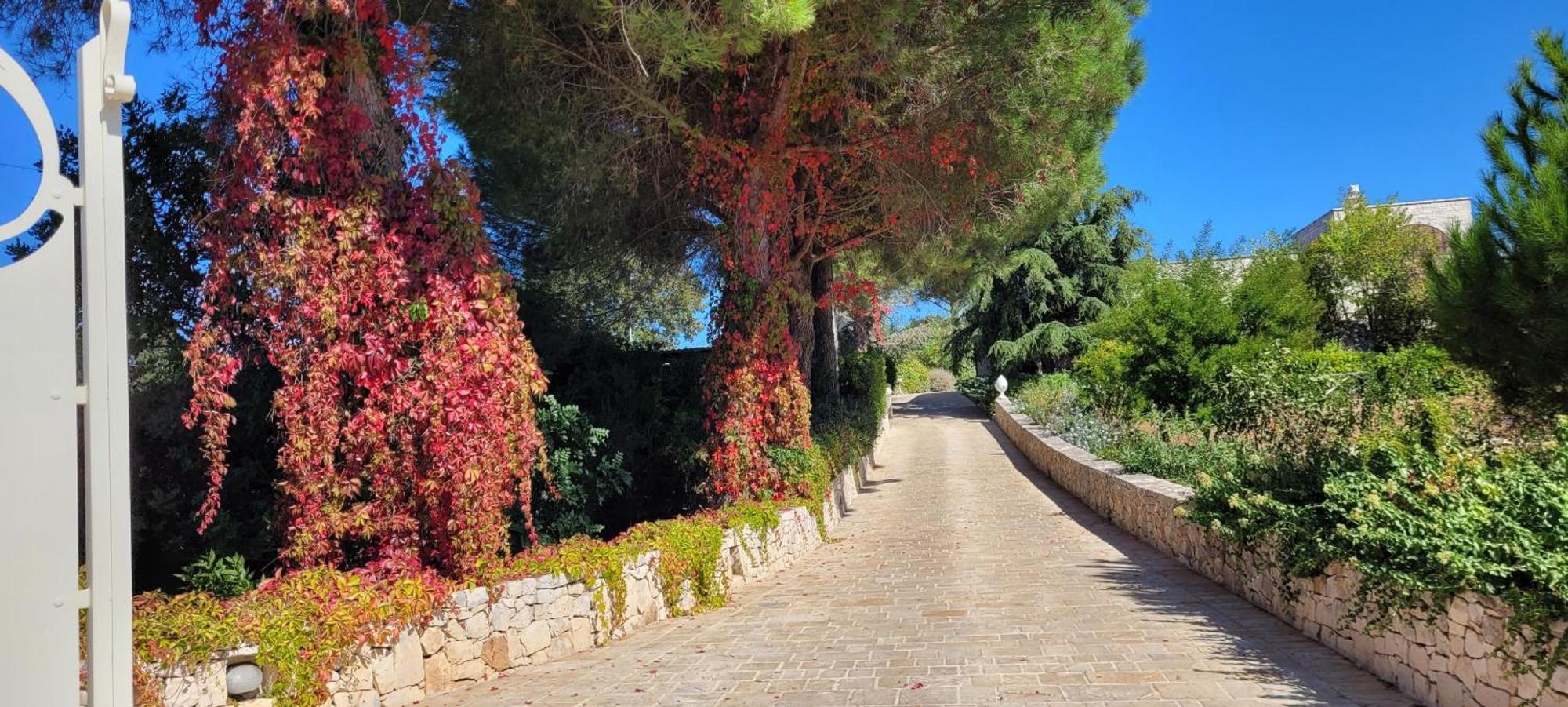 Villa Karmel Valle D'Itria Cisternino Buitenkant foto