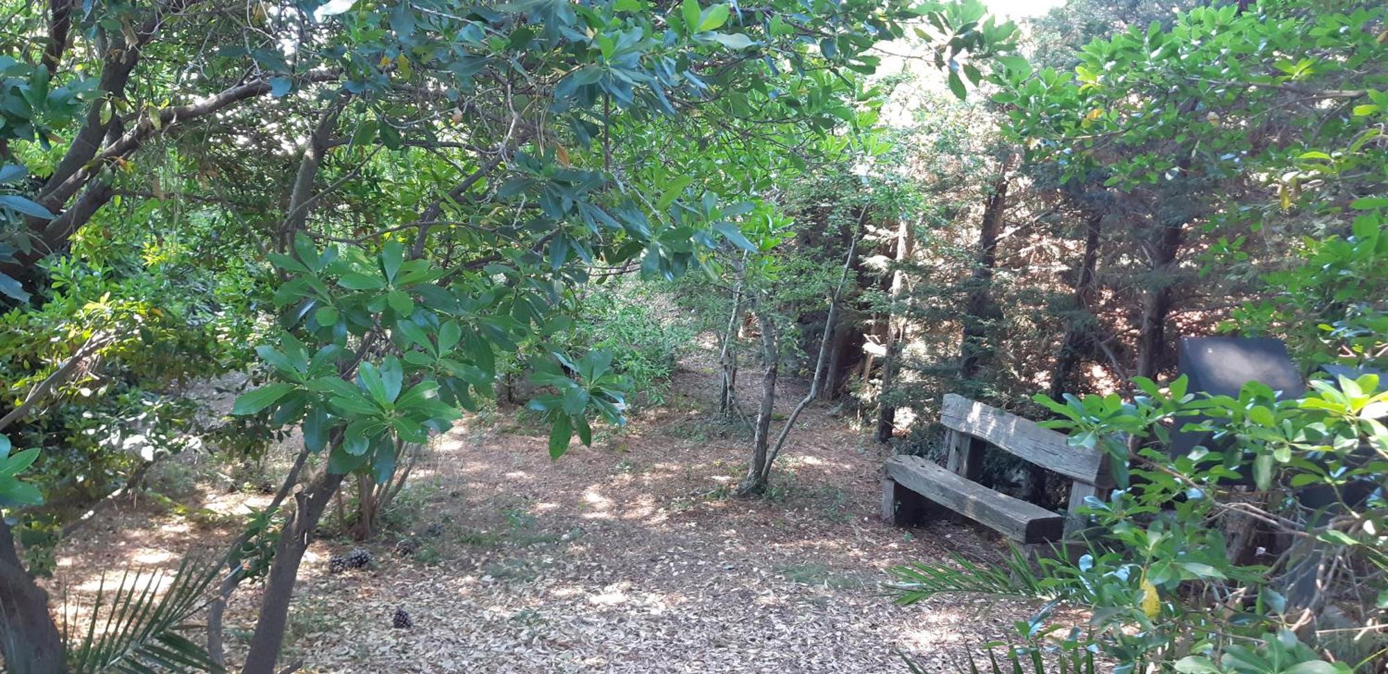 Villa Karmel Valle D'Itria Cisternino Buitenkant foto